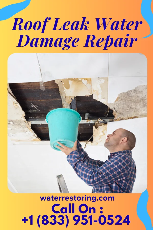 Roof Leak Water Damage Repair in Spanish Fort, AL